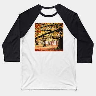 Autumn woodland Baseball T-Shirt